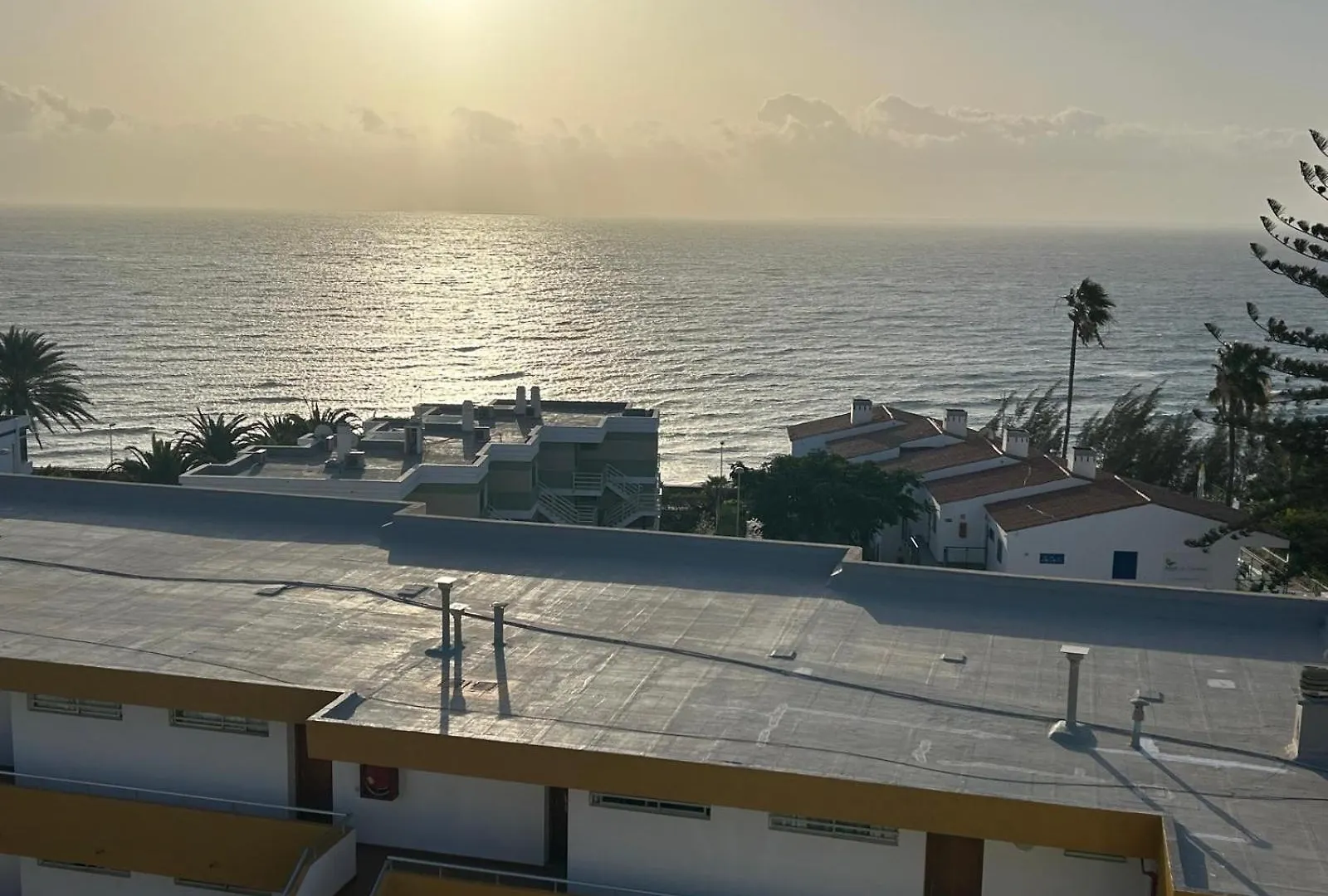 Complejo Los Cactus Apartamento Sol Y Mar 马斯帕洛马斯 公寓
